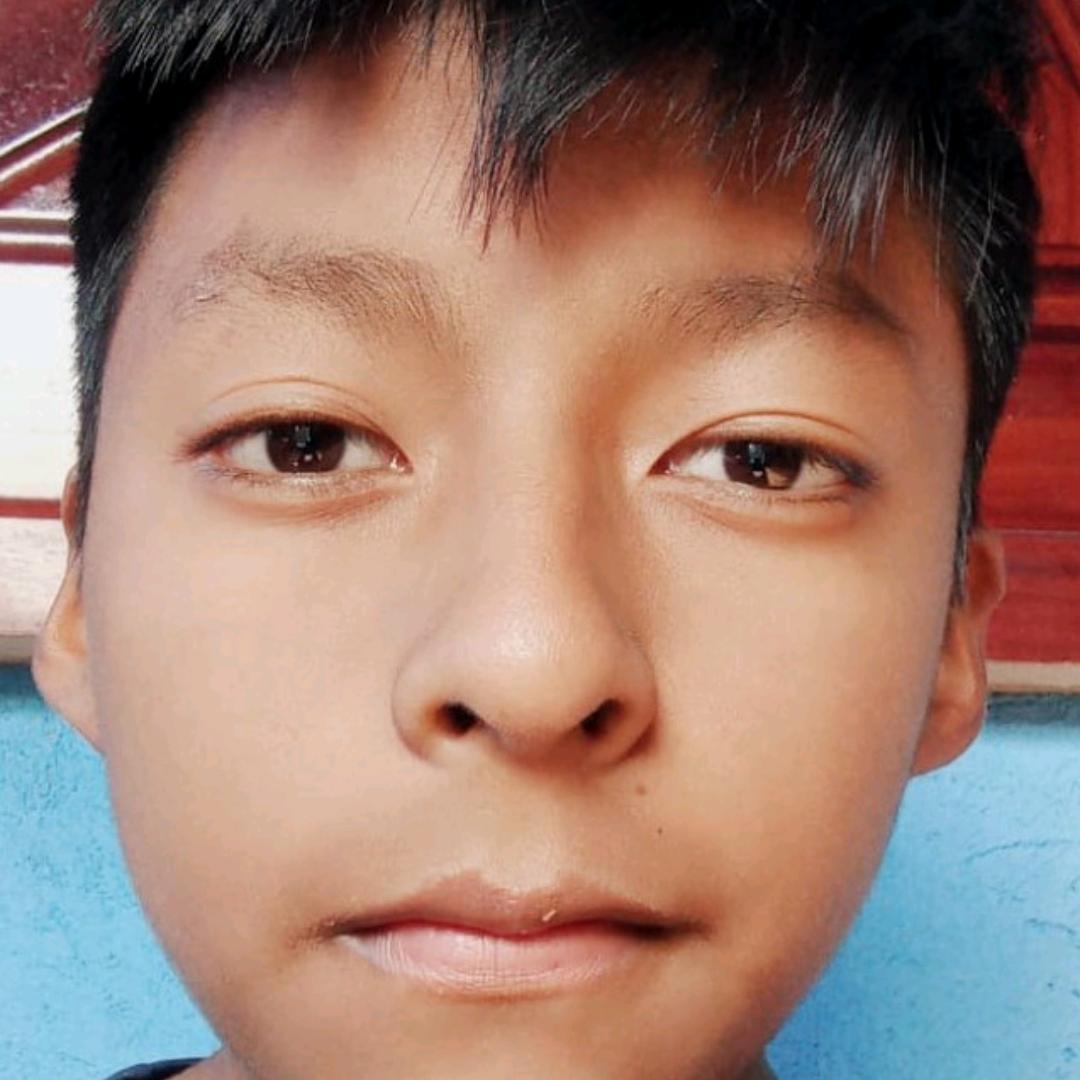 User Image